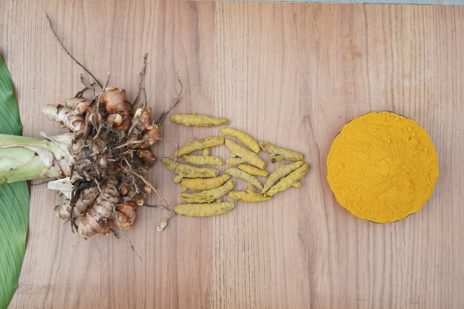 Whole dried turmeric roots, polished fingers, and laboratory-grade pure turmeric powder on a banana leaf